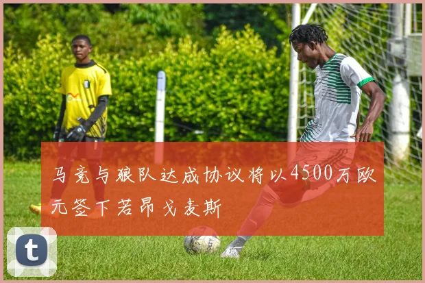 马竞与狼队达成协议将以4500万欧元签下若昂戈麦斯