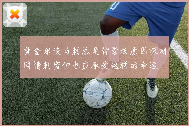 费舍尔谈马刺总是背景板原因深刻同情刺蜜但也应承受这样的命运
