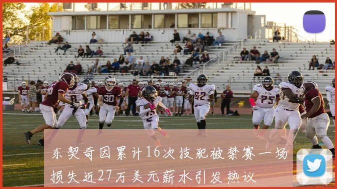 东契奇因累计16次技犯被禁赛一场损失近27万美元薪水引发热议